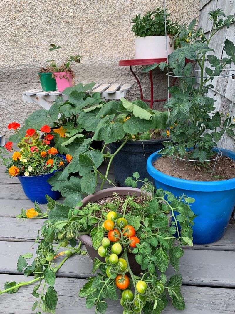 They Fit Anywhere, Even The Tiniest Space