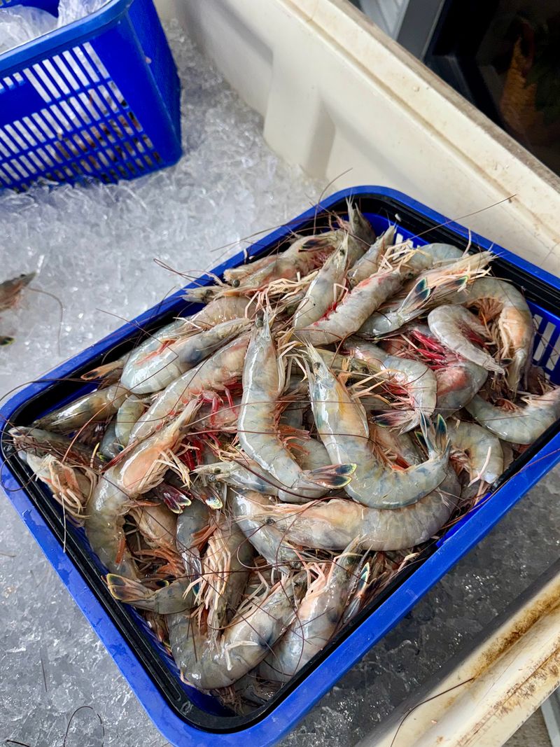 Mayport Shrimp