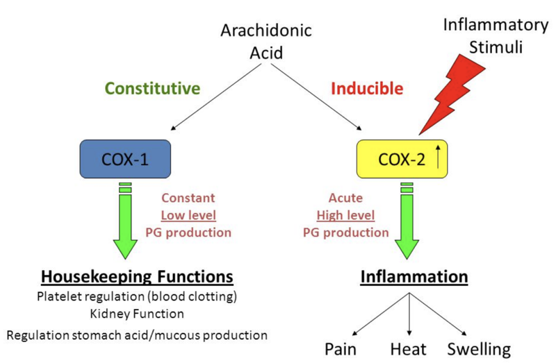 Common pain medicines use different mechanisms
