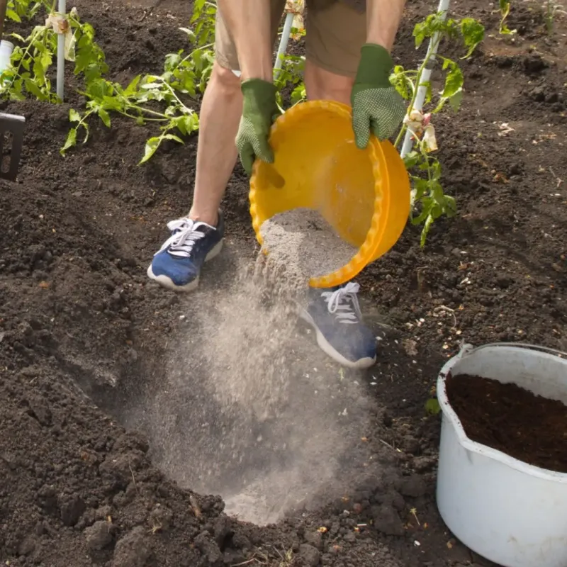 Wood Ash