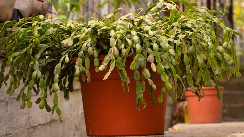 Moving or Environmental Changes