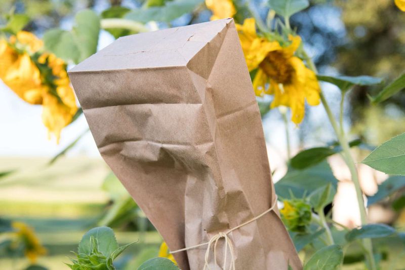 Place Them in Paper Bags