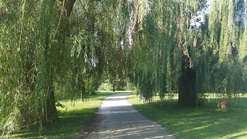 The Fox Riverwalk Adds a Short, Accessible Outdoor Pause