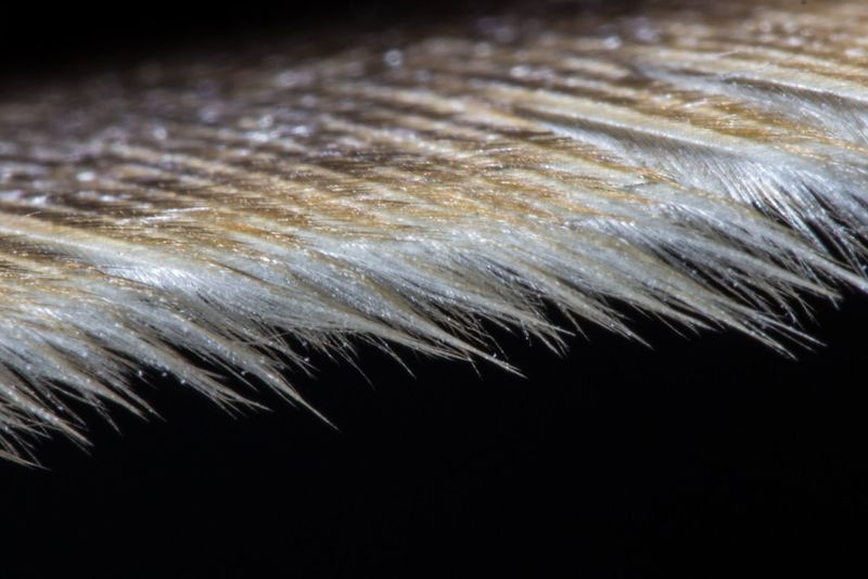 The leading edge breaks up turbulent airflow