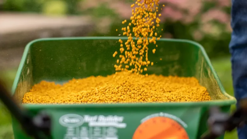 Spread Corn Gluten Meal in Spring