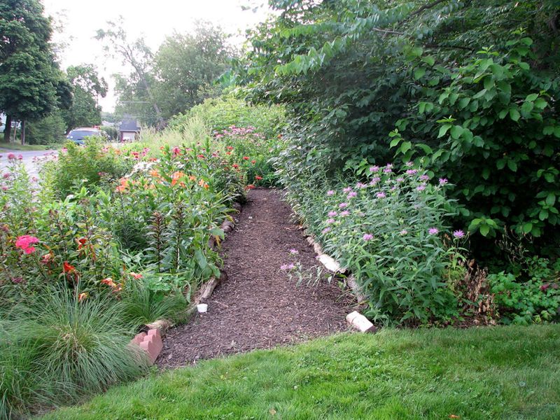 Improve the habitat without trying to manufacture a turkey visit