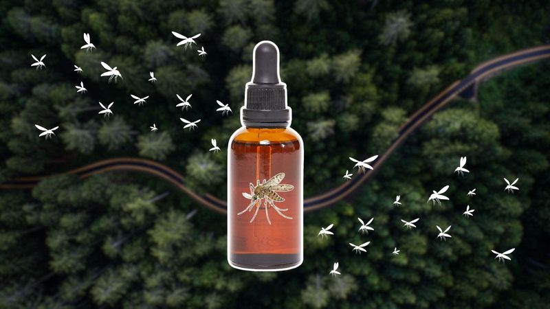 A registered catnip-oil product is not a backyard recipe