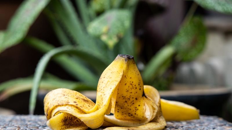 Banana Peels