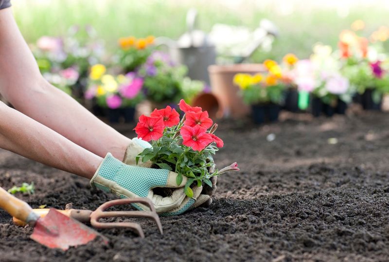 Improve Soil Quality and Drainage