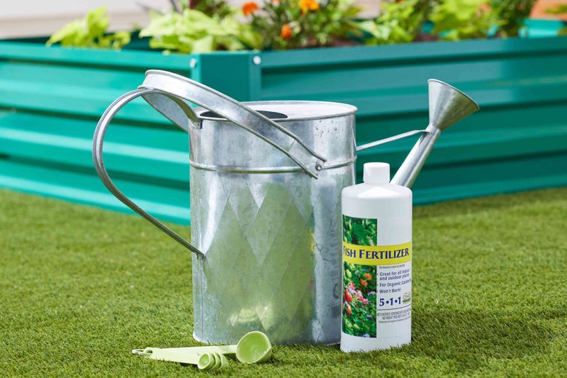 Use Fish Emulsion For A Fast Green-Up