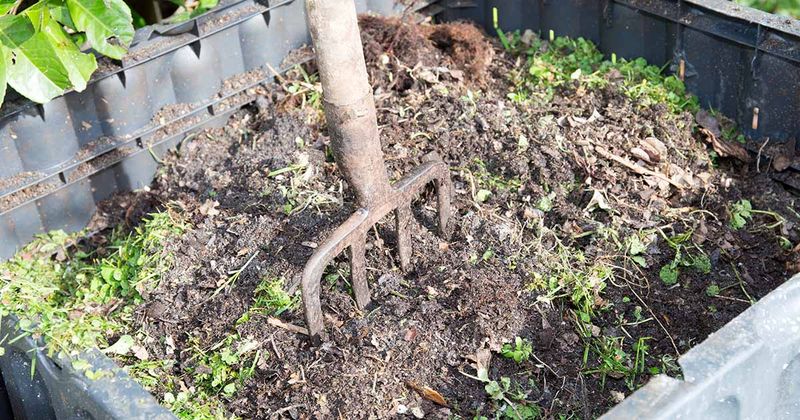 Compost