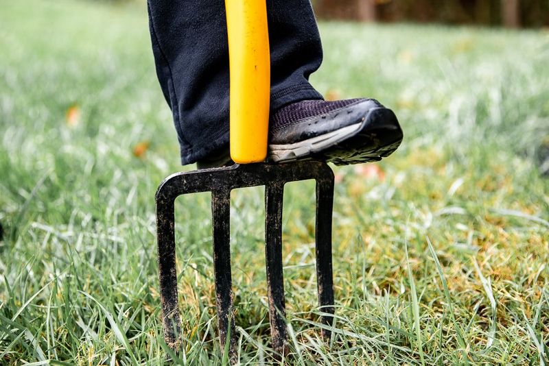 Loosen Hard Soil With a Garden Fork