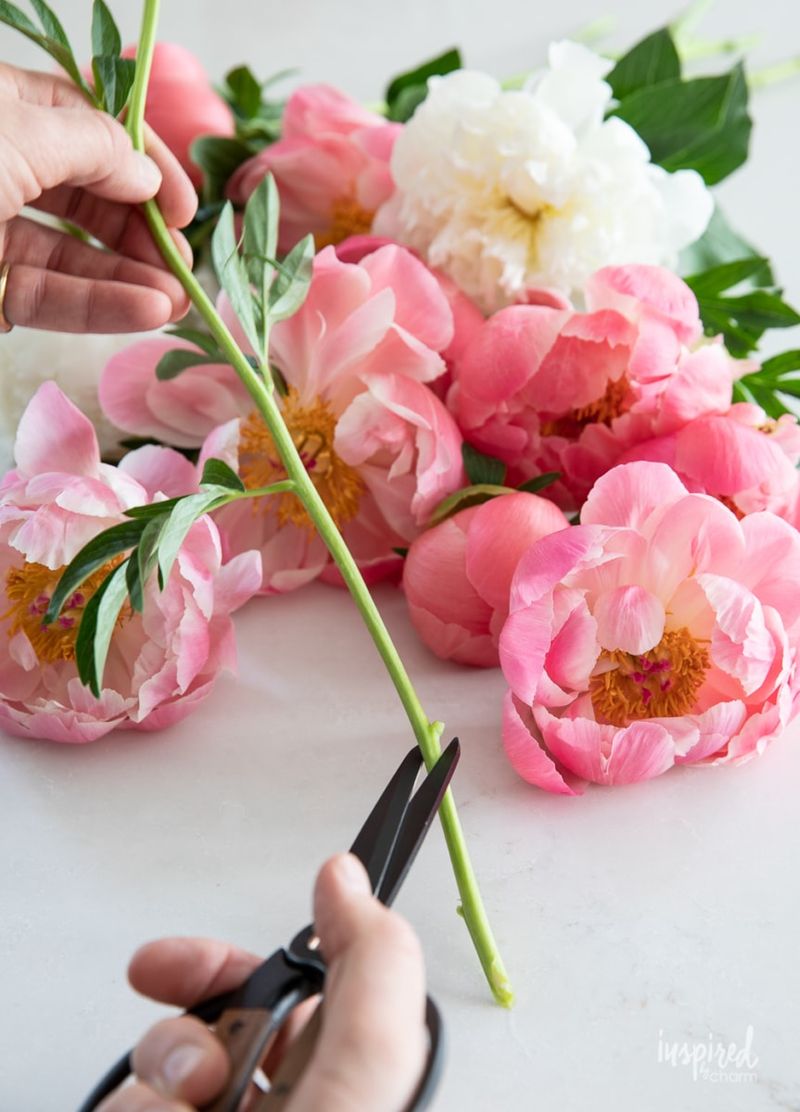 Start with a clean vase and a fresh stem cut