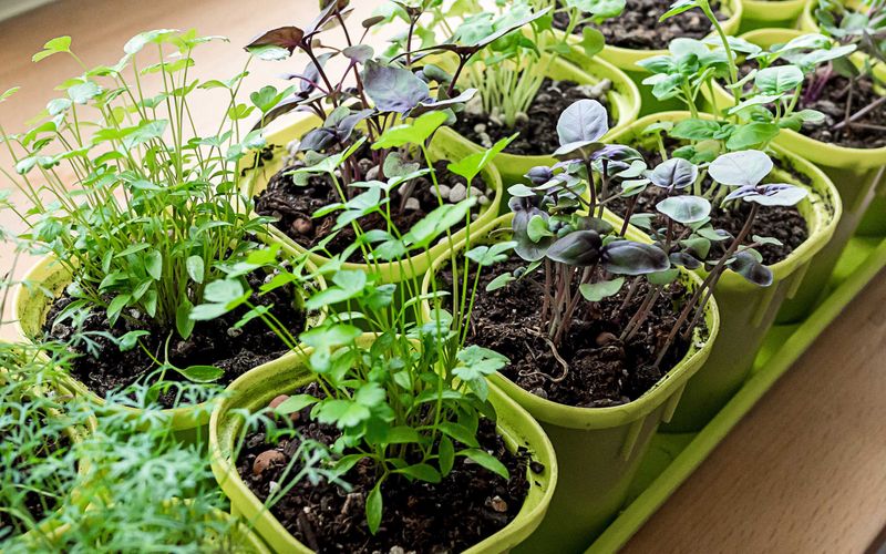 Ease Up On Fertilizer
