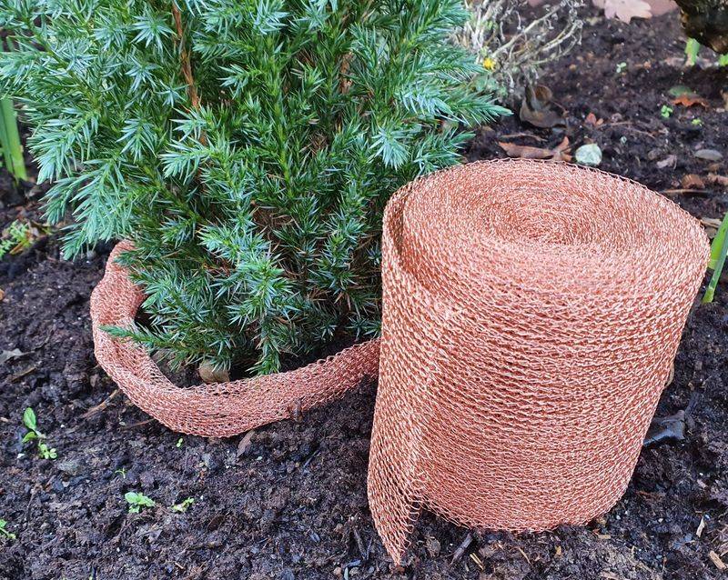 Build a wide, continuous perimeter that slugs cannot easily bypass