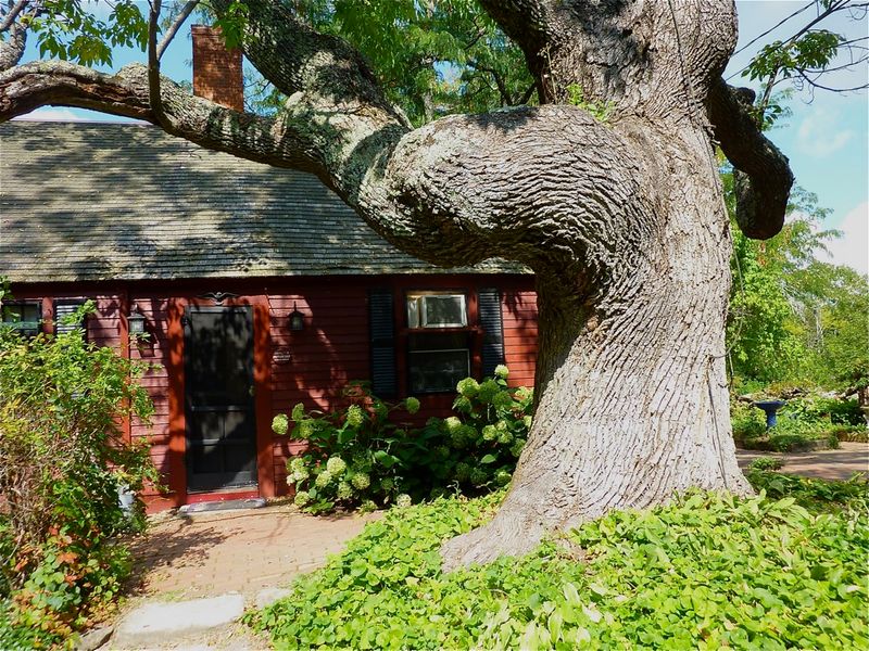 Pickity Place (New Hampshire)