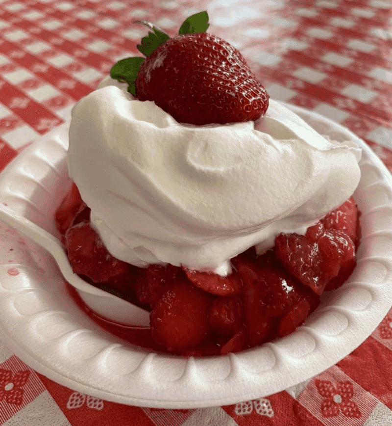 Strawberry Shortcake (Plant City, Seasonal)