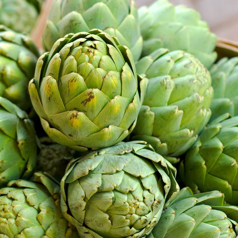 Artichoke