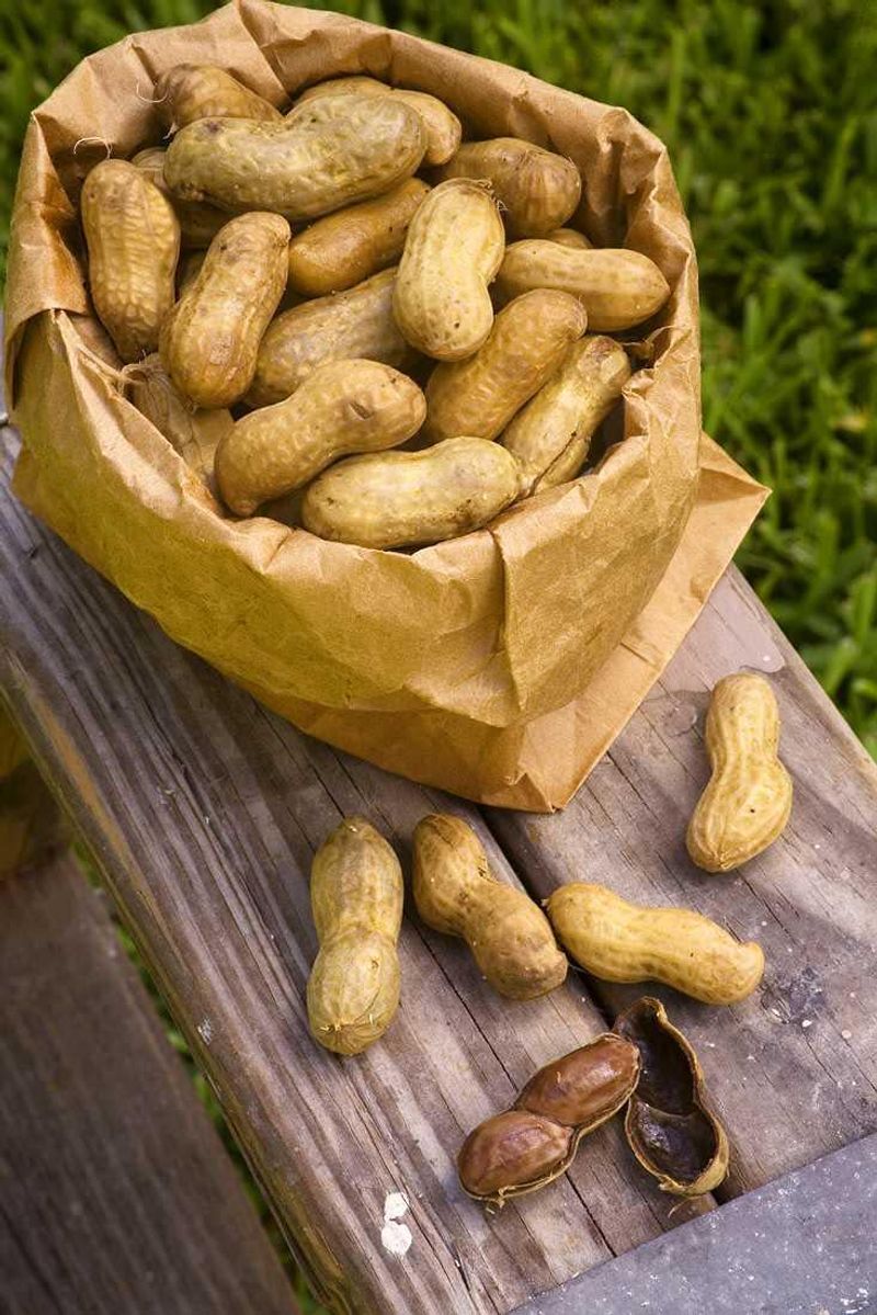 Boiled Peanuts From Roadside Stands