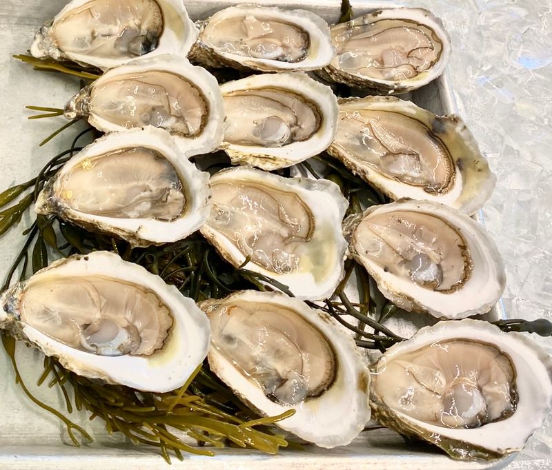 Mac’s Shack - Wellfleet