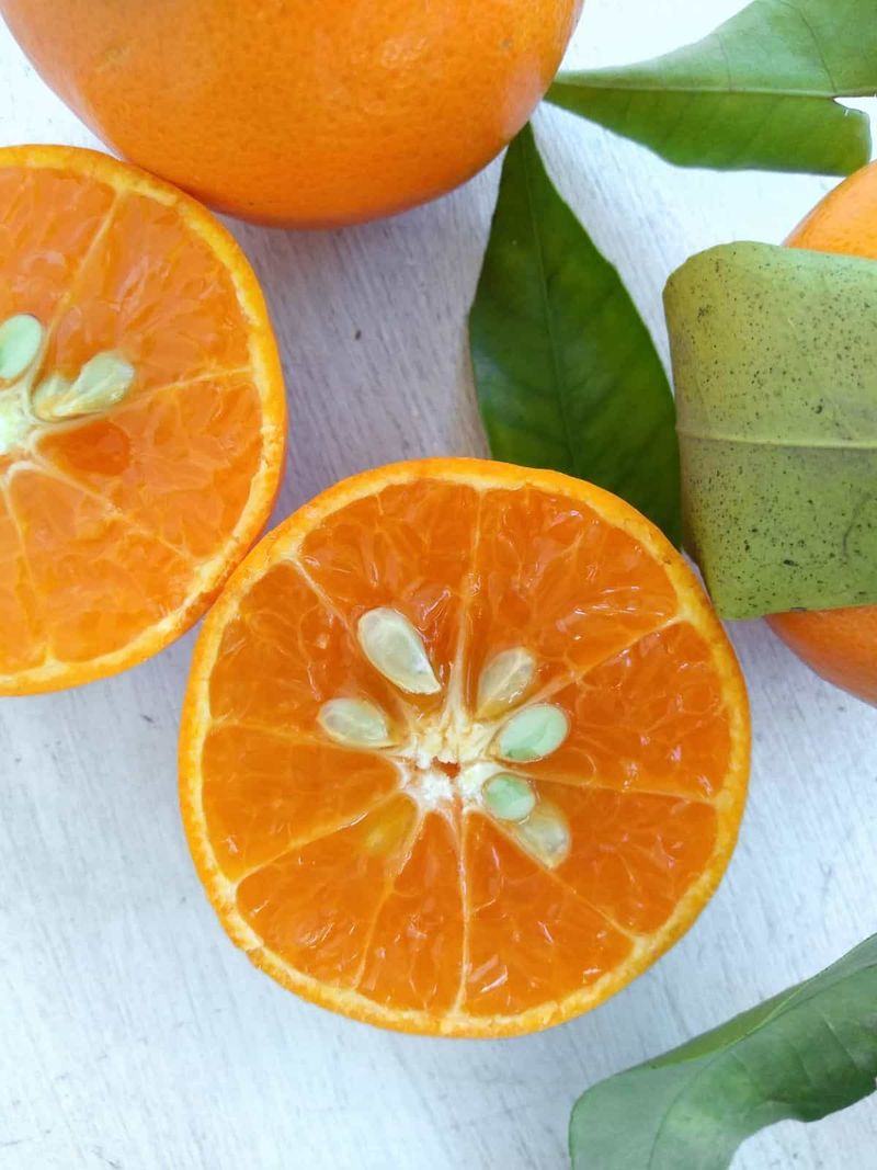 Seeds: what to expect