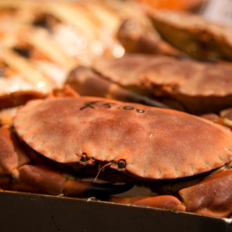 City Island Lobster House — City Island, Bronx