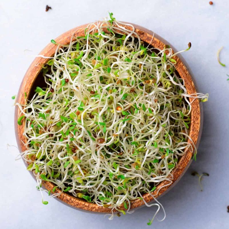 Sprouts