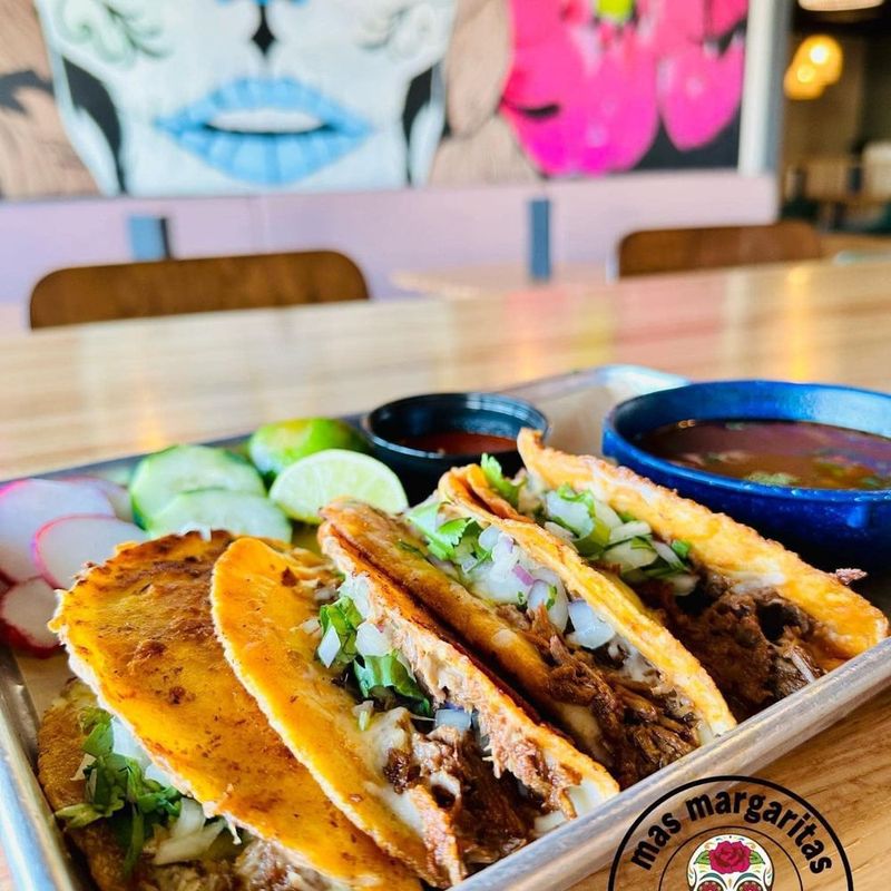 Handmade Corn Tortillas That Make the Difference