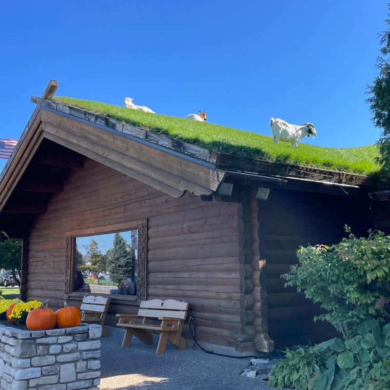 Al Johnson’s — Sister Bay, Wisconsin