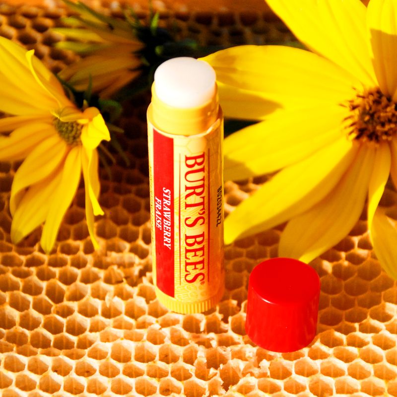 Burt's Bees: From Humble Hive to Global Sensation