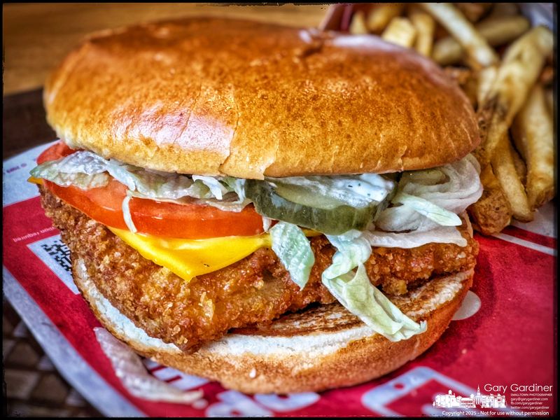 Wendy’s Premium Bun