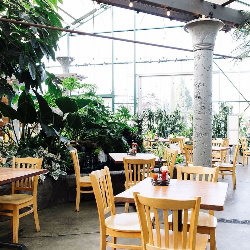 The Greenhouse After – Seattle, WA