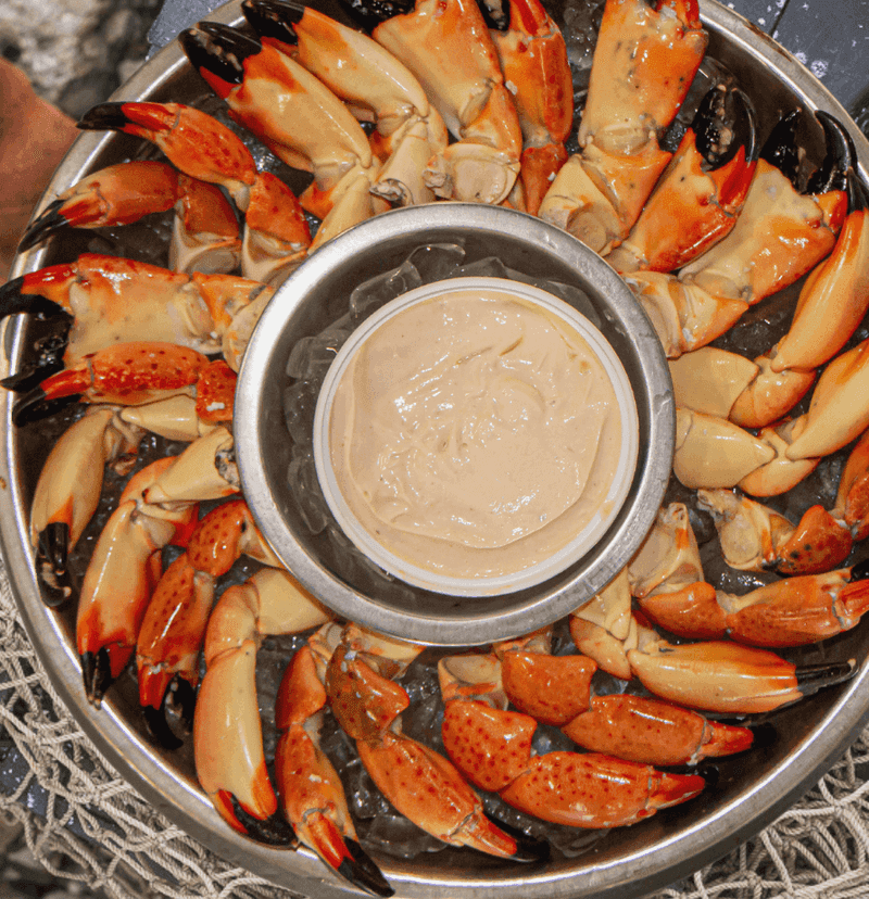 Stone Crab
