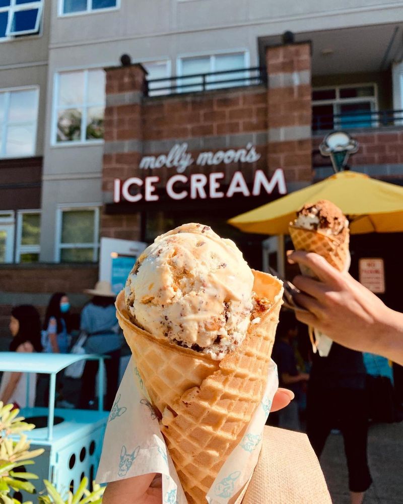 Molly Moon's Homemade Ice Cream