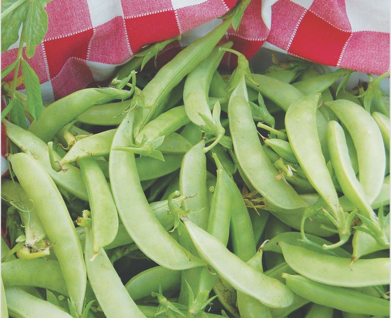 Amish Snap Peas