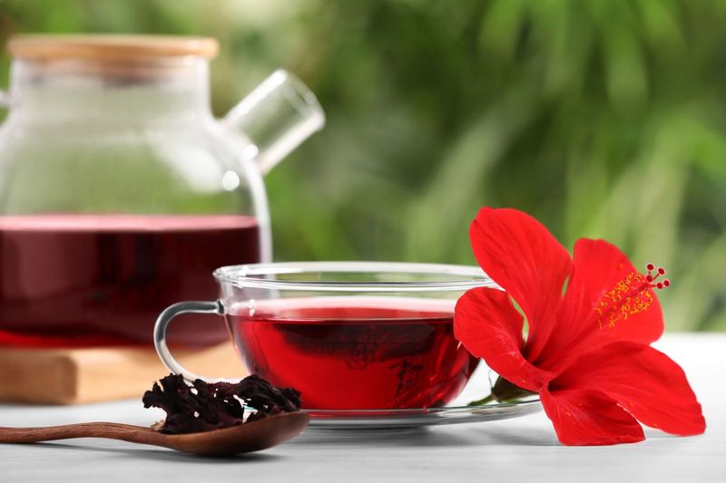 Hibiscus tea (hot)