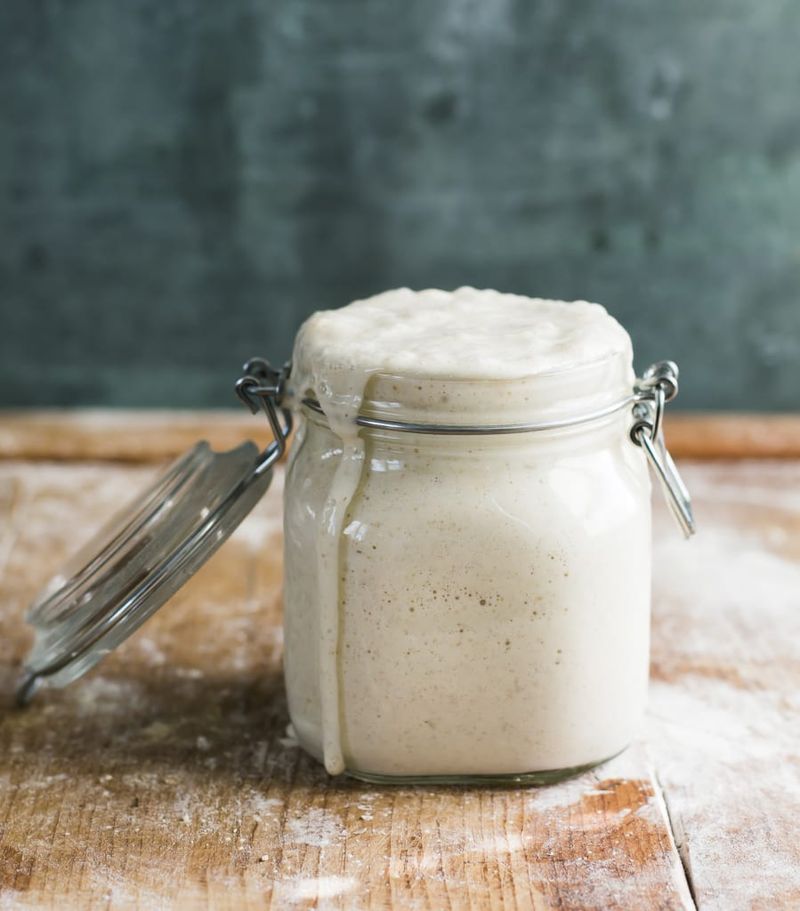 Sourdough Starter (With Instructions)