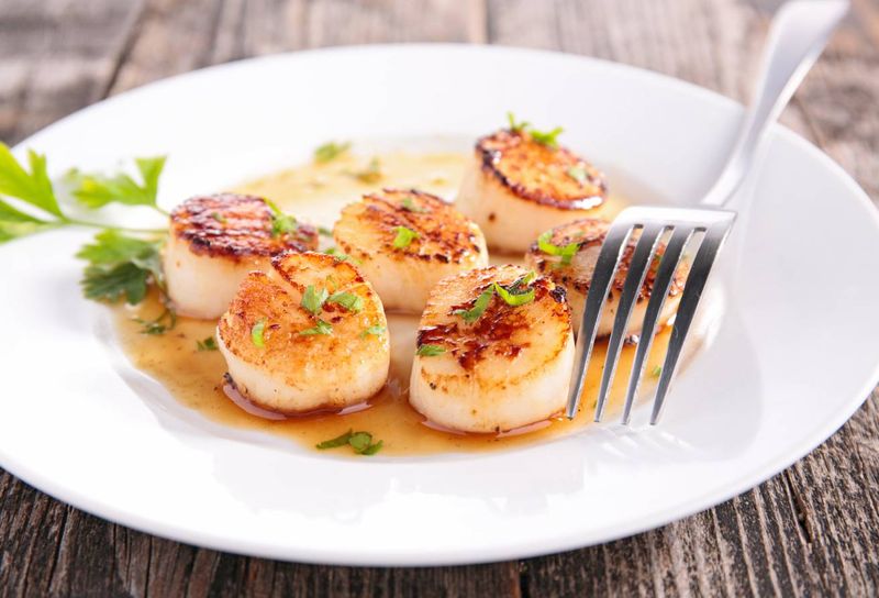 Scallops