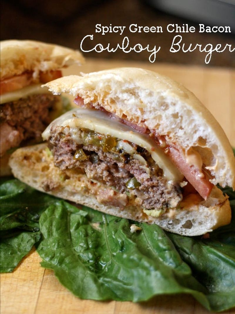 Arizona - Desert Heat Cheeseburger