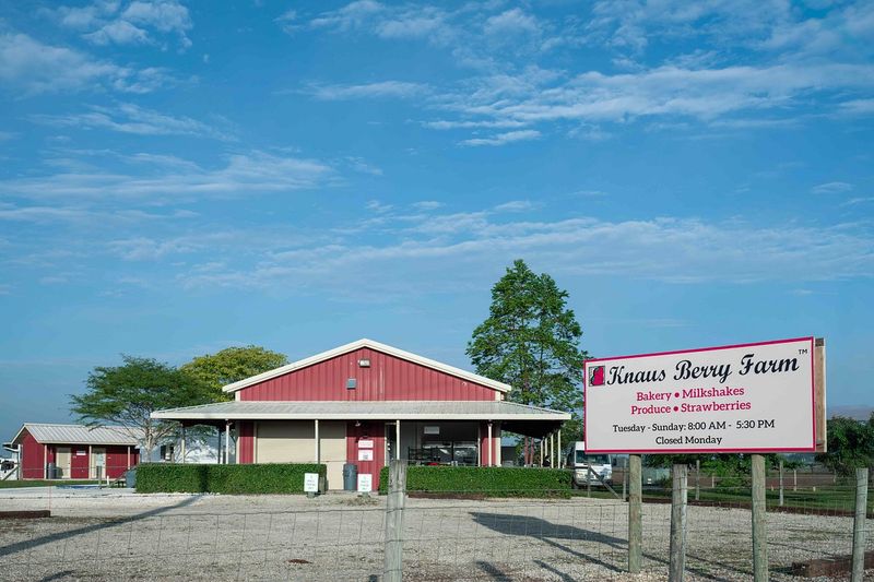 Florida: Knaus Berry Farm (Miami area)