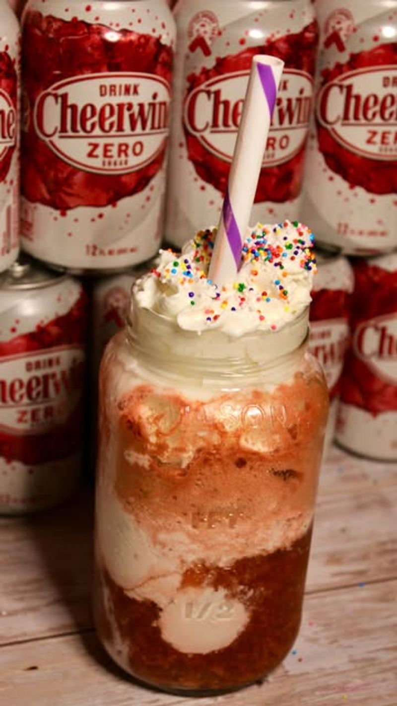 Cheerwine Float At The Drugstore Fountain