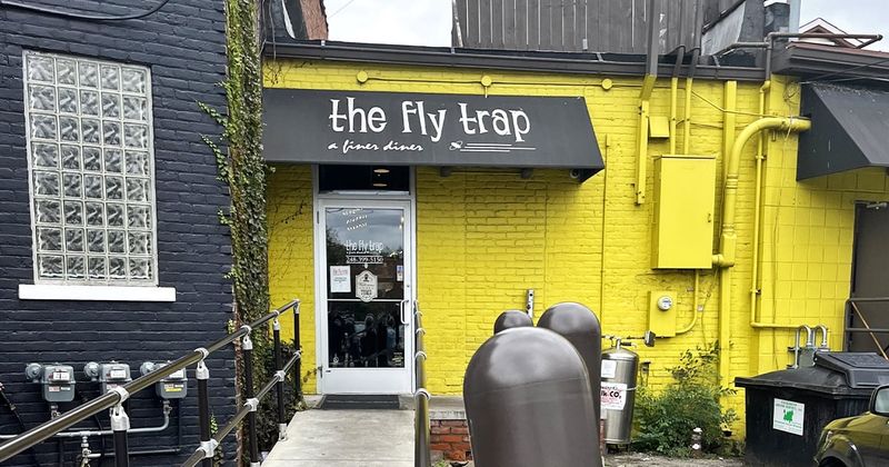 The Fly Trap - Ferndale