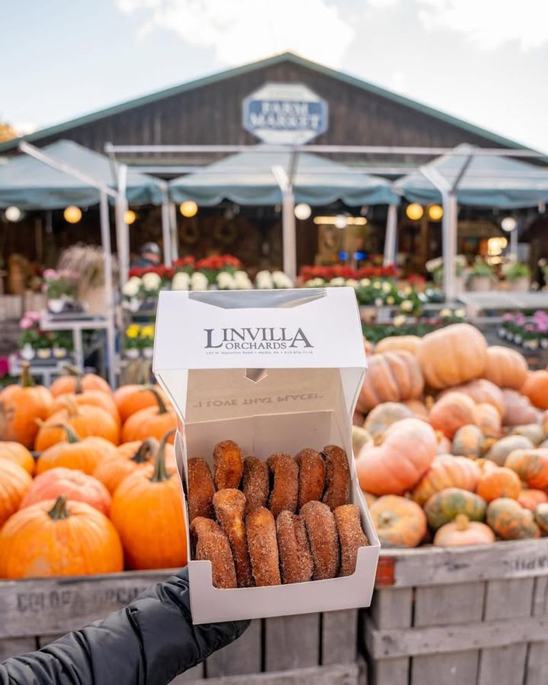 Linvilla Orchards: A Donut Institution