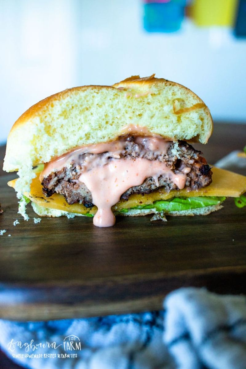 Utah - Fry Sauce Cheeseburger