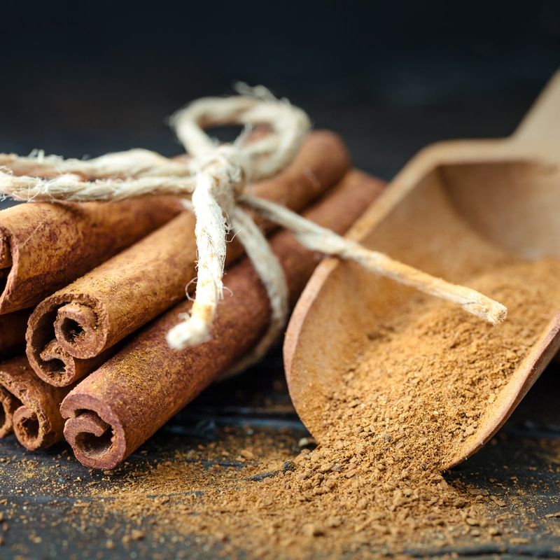 Savory Spice Saigon Cinnamon