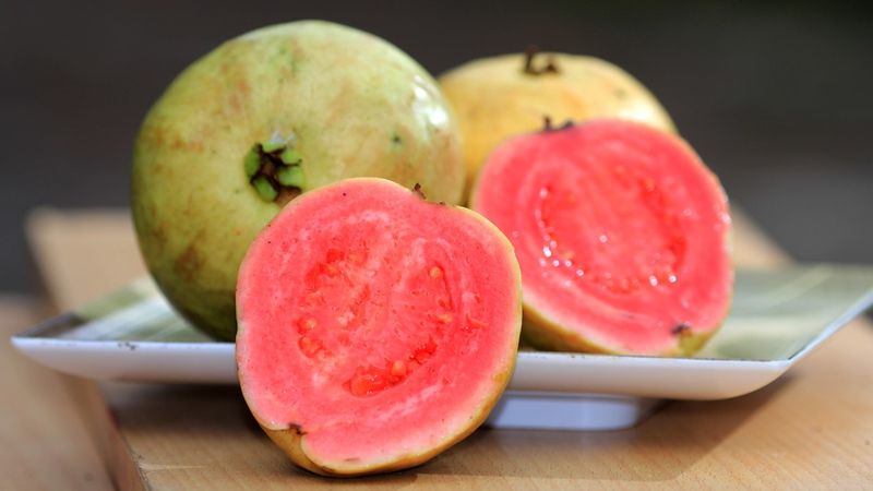 Guava
