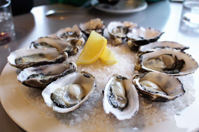 Oysters