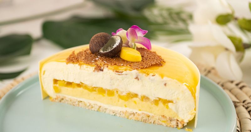 Mango Coconut Mousse Cake