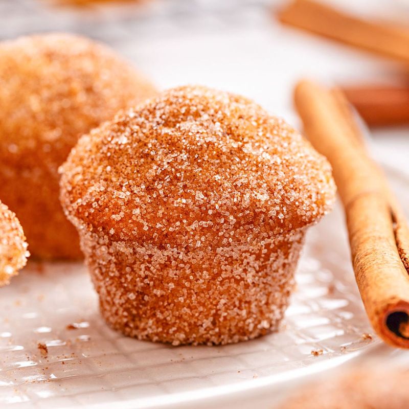 Cinnamon Sugar Donut Muffins