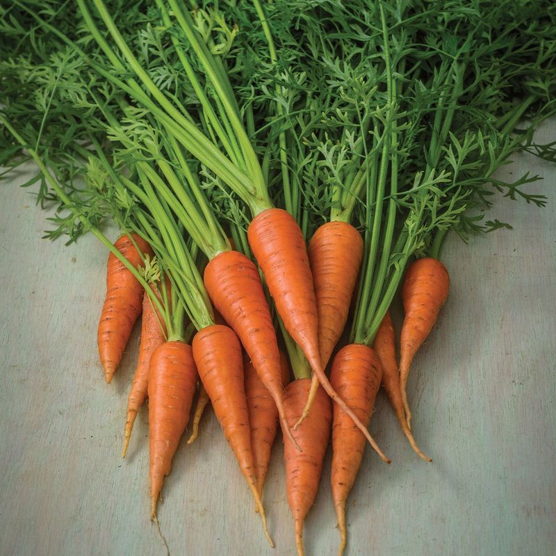 Carrots